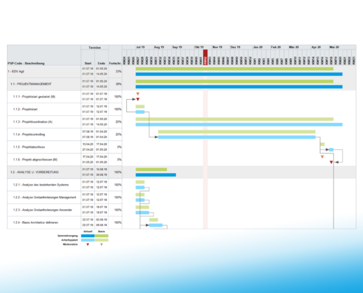 next project Gantt